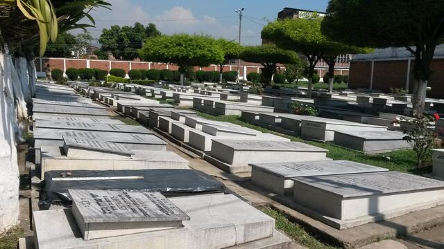 Hileras de lápidas bajo la sombra de los árboles