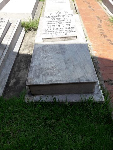 Lápida de Bela Mathias Kalus