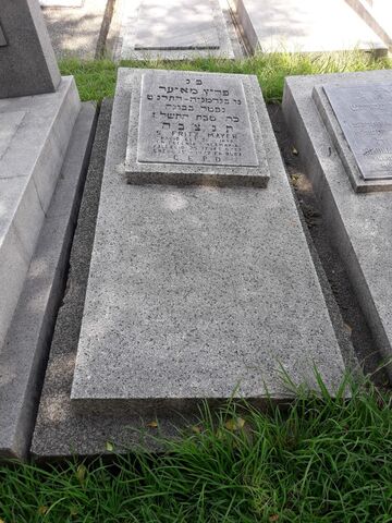 Lápida de Fritz Mayer