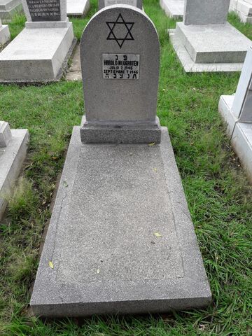 Lápida de Harold Neugarten (bebe)