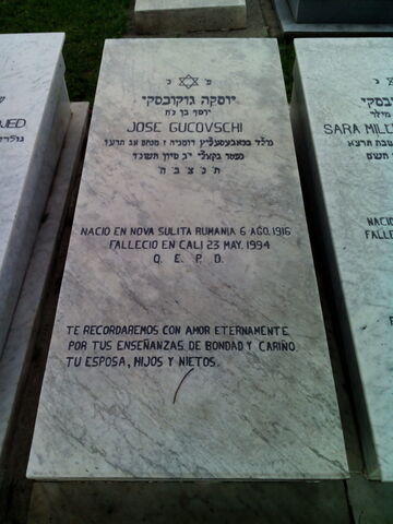 Lápida de Jose Gucovschi