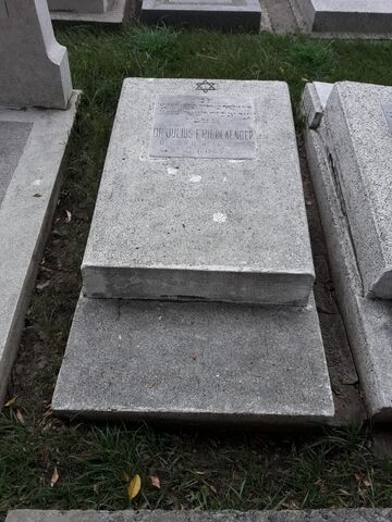 Lápida de Julius Friedlaender
