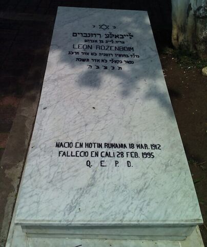 Lápida de Leon Rozenboim