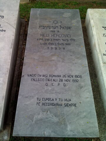 Lápida de Milu Hercovici