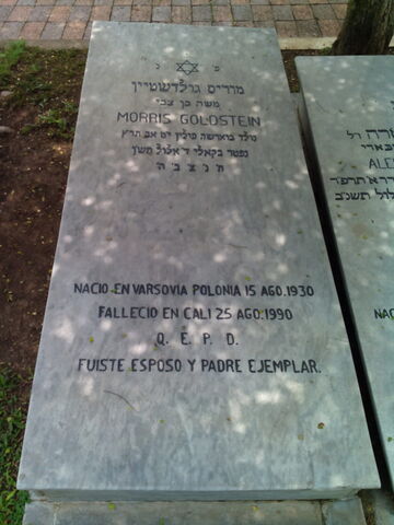 Lápida de Morris Goldstein