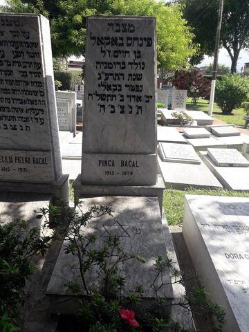 Lápida de Pinca Bacal