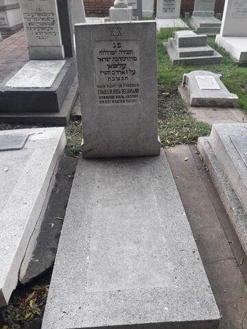 Lápida de Rosa Seligmann