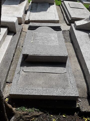 Lápida de Siegfried Alexander