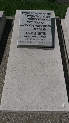 Lápida de Siegfried Meyer